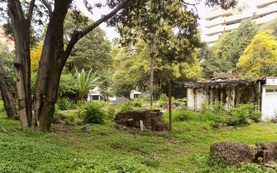 SAE toma control de bienes vinculados al llamado ‘príncipe belga’ en Cartagena y Barú