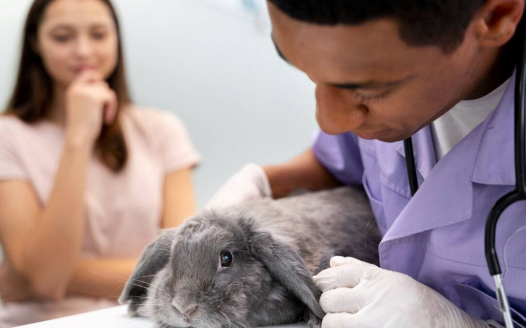 Zoonosis: cuando la salud humana también depende de los animales y el ambiente