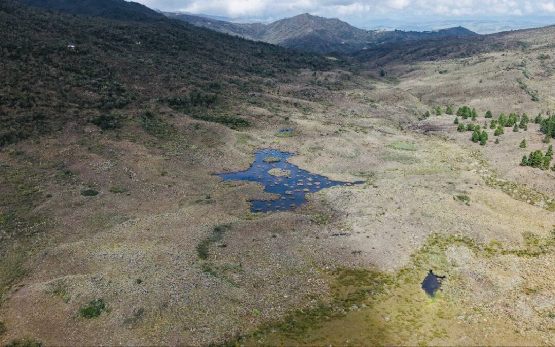Firman Plan de Manejo Ambiental para proteger el páramo Rabanal-Río Bogotá