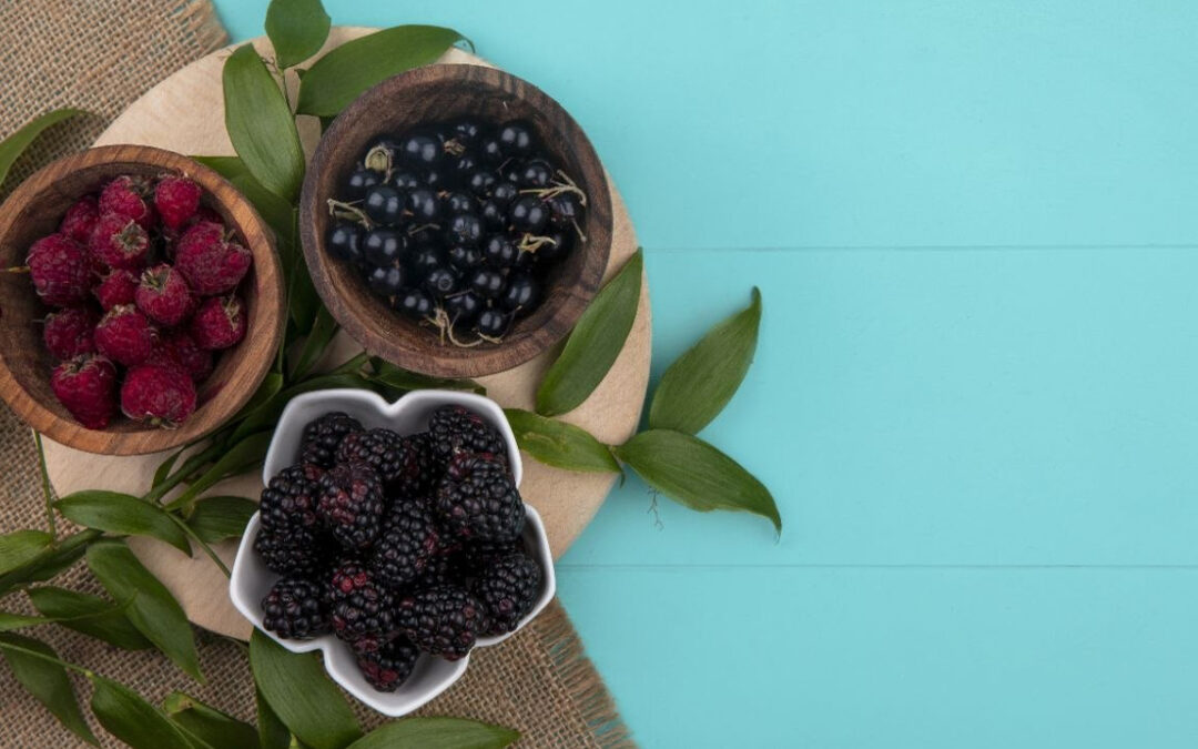 El potencial nutricional de las berries y su aporte a una alimentación saludable