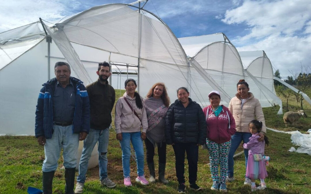 Invernadero comunitario abre nuevas oportunidades para familias de tradición minera en Paipa