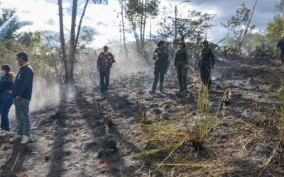 Autoridades controlan incendio en Nobsa