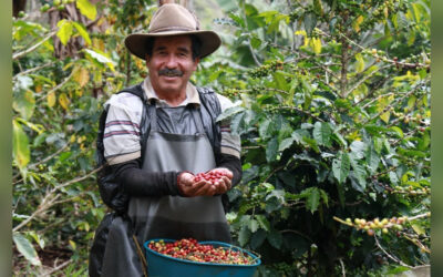 Pequeños y medianos productores de Boyacá podrán acceder a subsidios de hasta el 47 % para compra de insumos agropecuarios