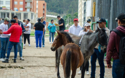 Un grupo de 109 familias de Sogamoso recibirá vehículos eléctricos a cambio de sus carros de caballos