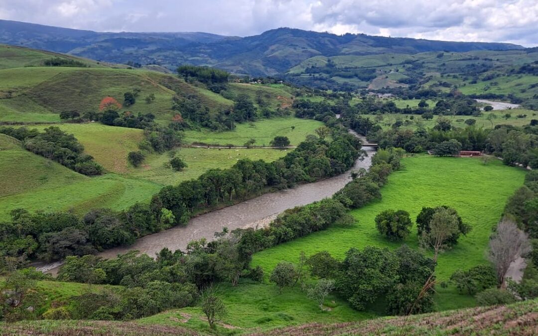 CONVOCATORIA PÚBLICA: Conformación del Consejo de Cuenca del Río Fonce