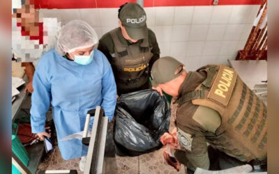 Incautaron 479 kilos de carne y cerraron cinco expendios en operativo sanitario en Villa de Leyva