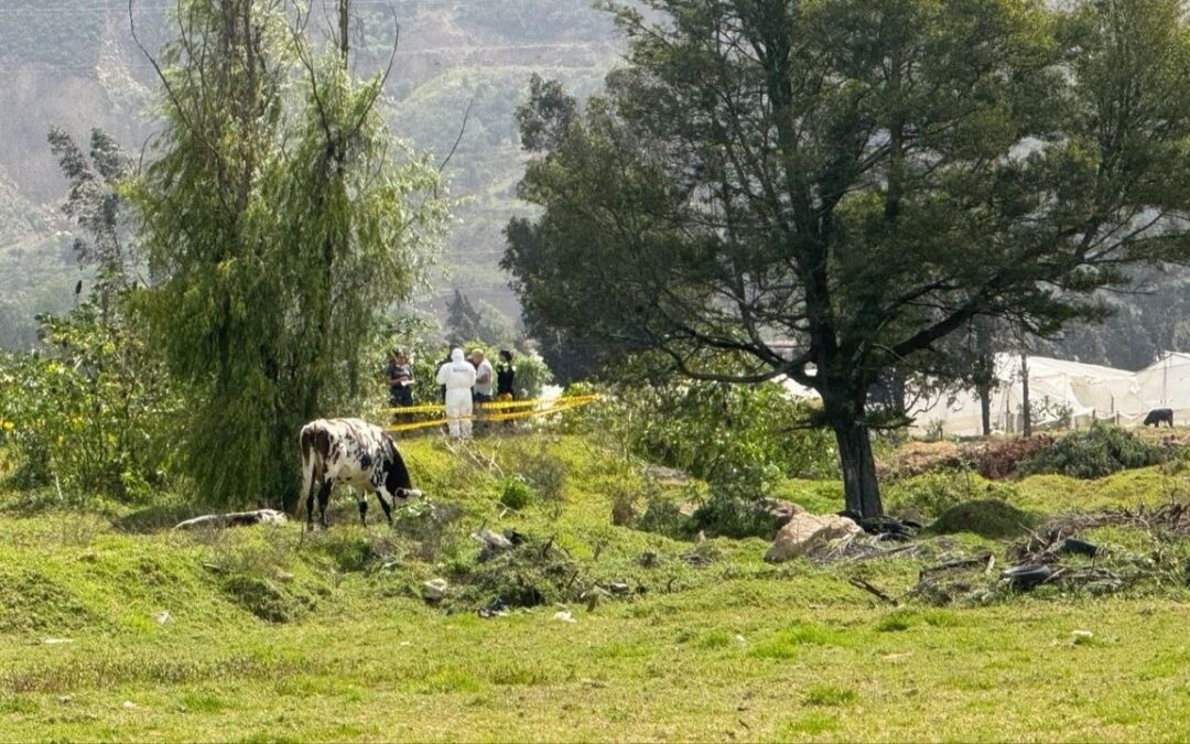Investigan el hallazgo de presunto feto en Sogamoso