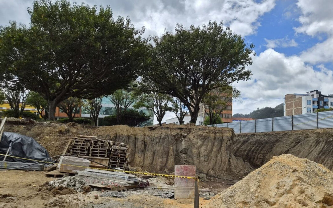 Corpoboyacá dio luz verde a tala de árboles en la Plaza 6 de Septiembre y ya fueron cortados #Tolditos7Días