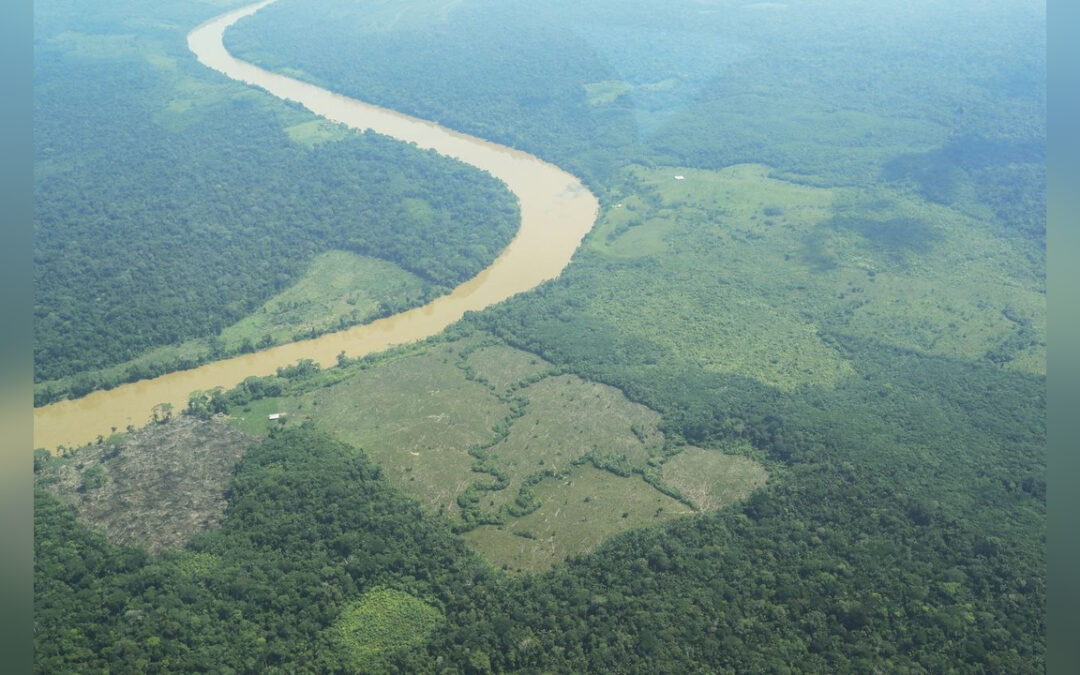 Desafíos ambientales del próximo Gobierno de Colombia con un cambio en la agenda nacional
