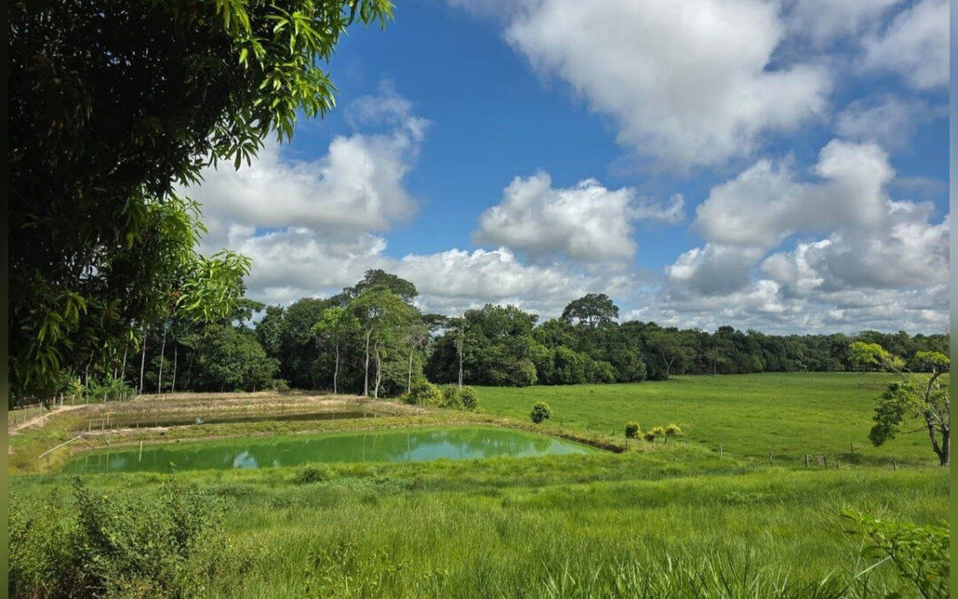 La Agencia de Tierras realizó nueva jornada de entrega de predios en Puerto Boyacá