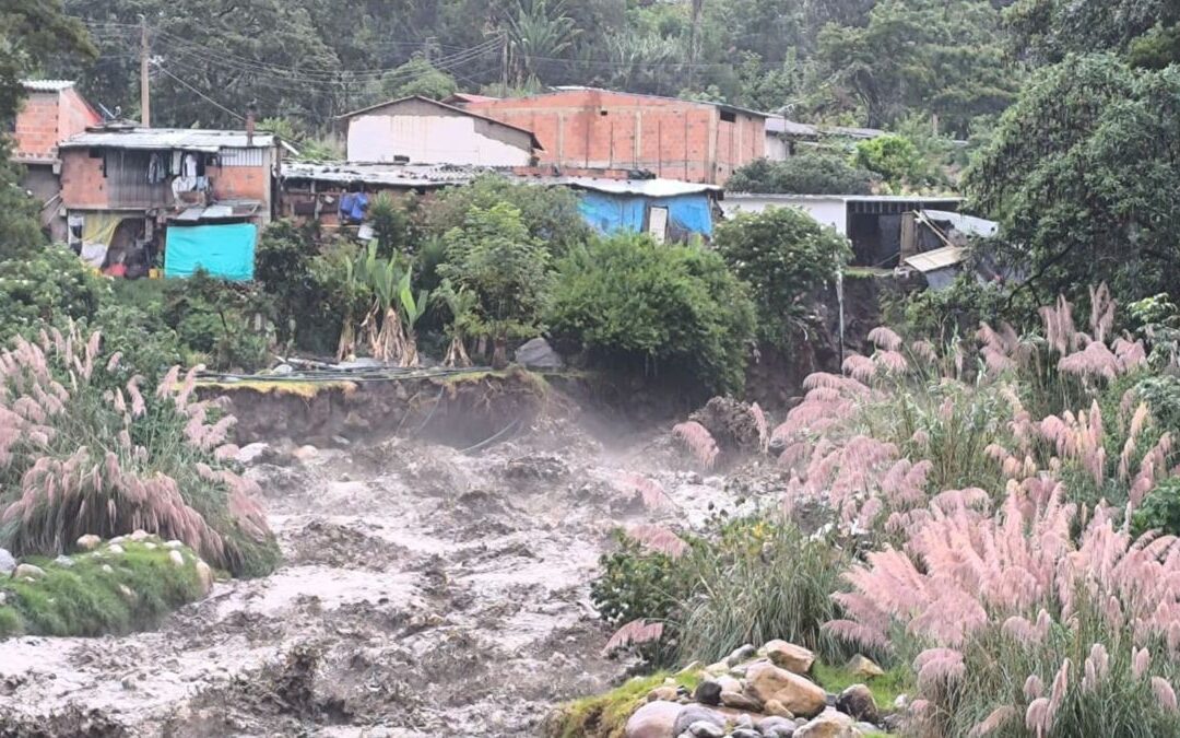 Pérdidas cercanas a $13.000 millones afronta el sector ganadero por el clima, según Fedegán