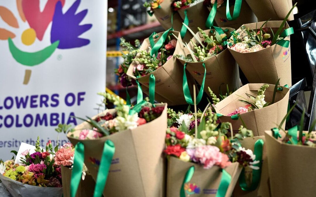 La floricultura colombiana está en crisis por aranceles de Estados Unidos y bajo precio del dólar, alerta Asocolflores