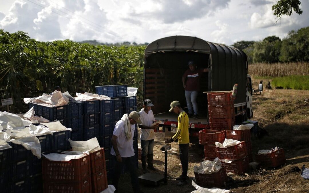 Un proyecto de $62.700 millones avanza en el Ocad Paz tras una denuncia por posibles irregularidades