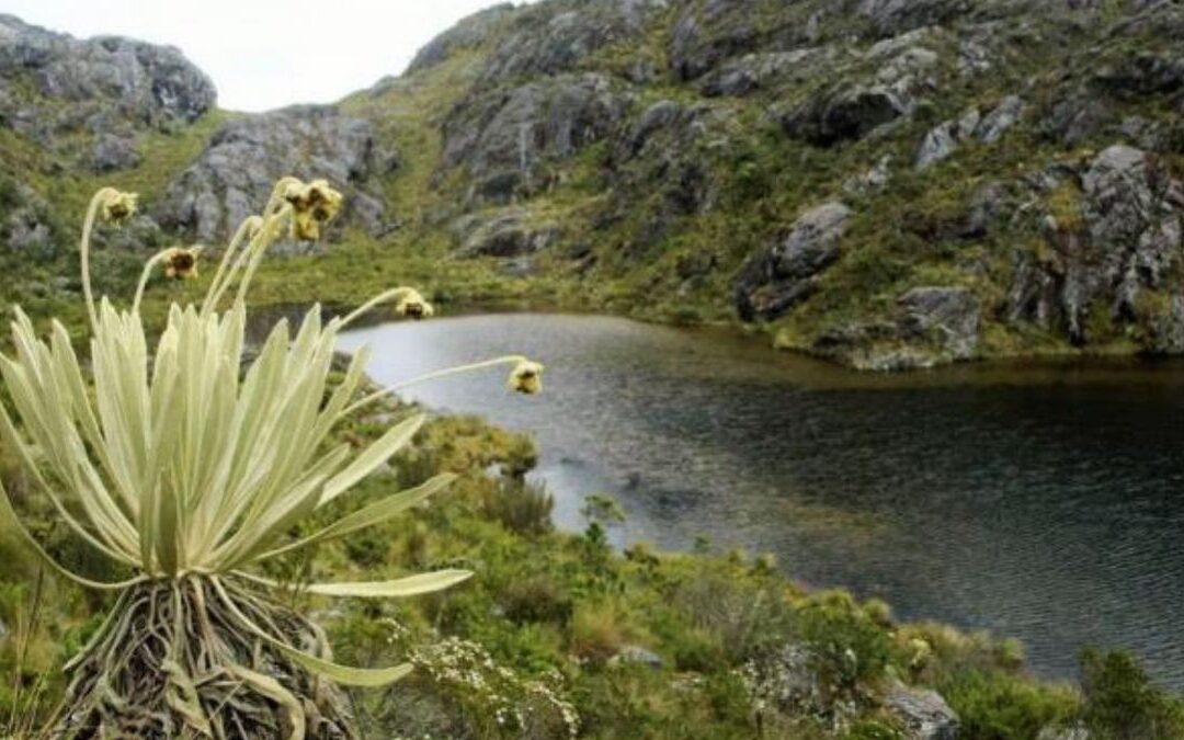 Delimitación progresiva del Páramo de Santurbán genera choque entre Asomineros y MinAmbiente