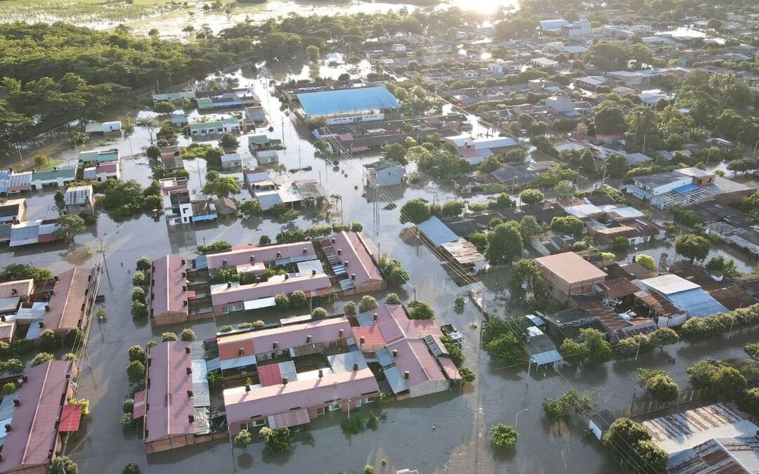 Fedearroz reporta 13.000 hectáreas de arroz afectadas por las inundaciones en los Llanos