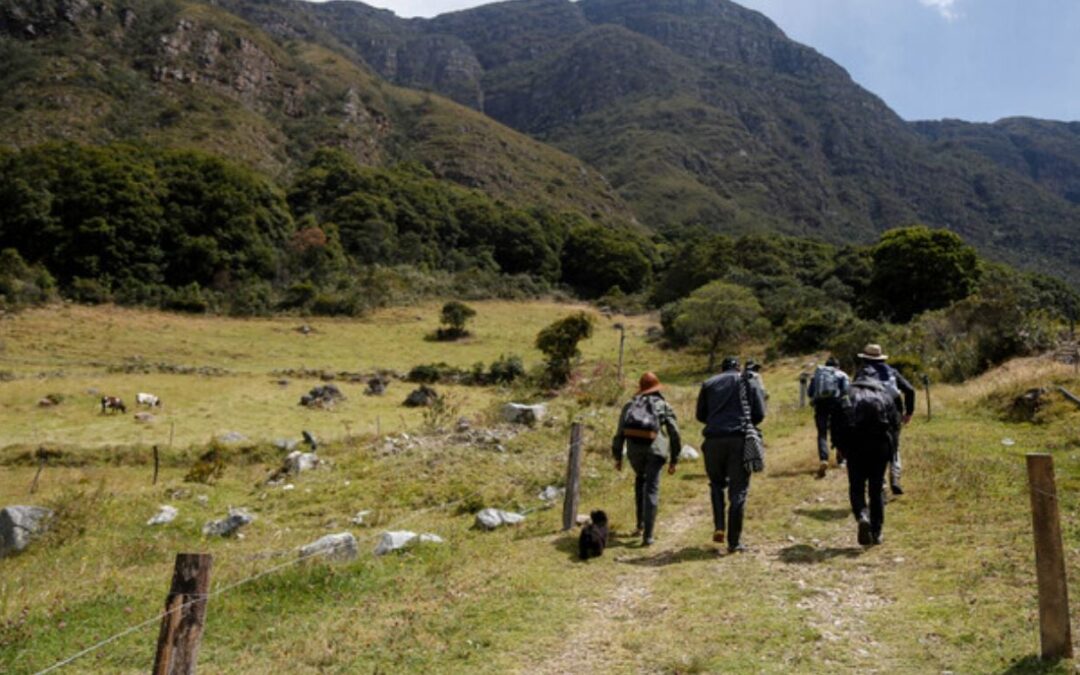 El nuevo decreto de tierras que desató dudas sobre la propiedad privada y la reforma agraria