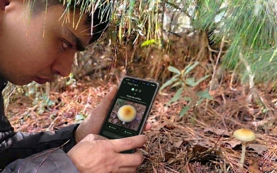 Boyacense crea modelo de IA y lo presentará en Congreso Latinoamericano de Micología