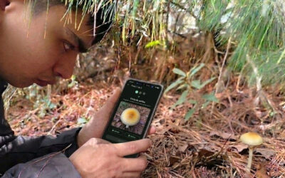 Boyacense crea modelo de IA y lo presentará en Congreso Latinoamericano de Micología