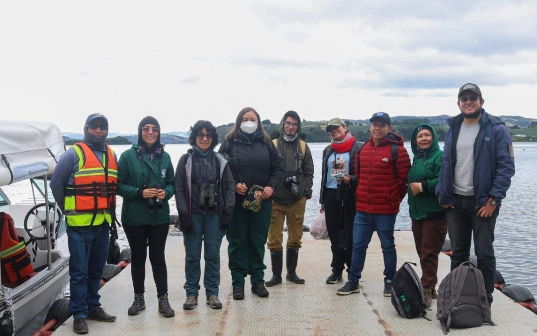 Se realizó el Censo Neotropical de Aves Acuáticas en el lago de Tota