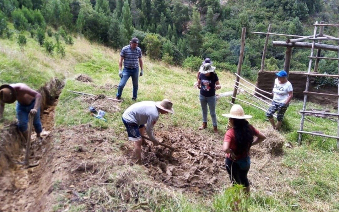 Interesados en la bioconstrucción, esta es una gran oportunidad