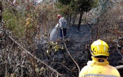 Incendio forestal en Samacá y Sáchica está controlado en su totalidad; más de 34 hectáreas fueron consumidas