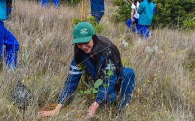 Urbaser completa la siembra de 2.700 plantas en Oicatá