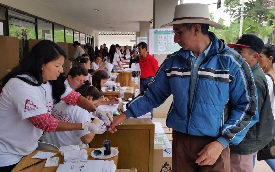 Las elecciones cafeteras se realizarán en septiembre con el acompañamiento de la Misión de Observación Electoral