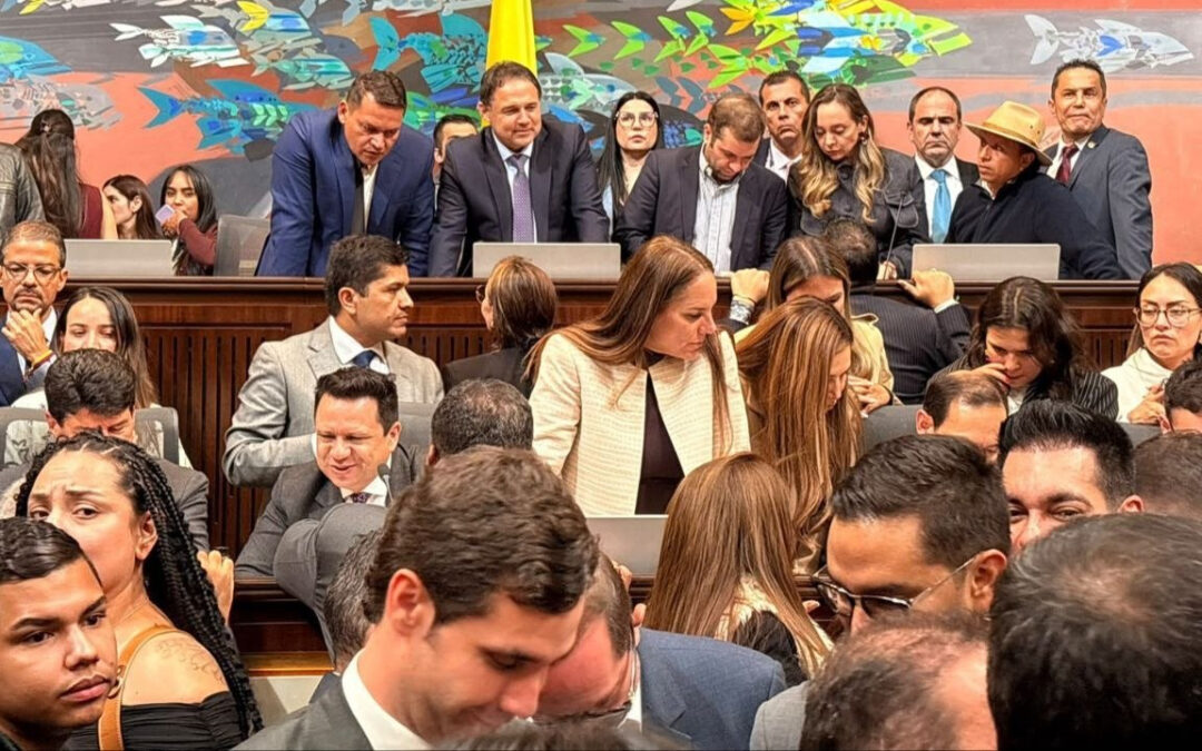 La casa Amaya se desmarcó del petrismo en la elección de magistrados del CNE #Tolditos7Días