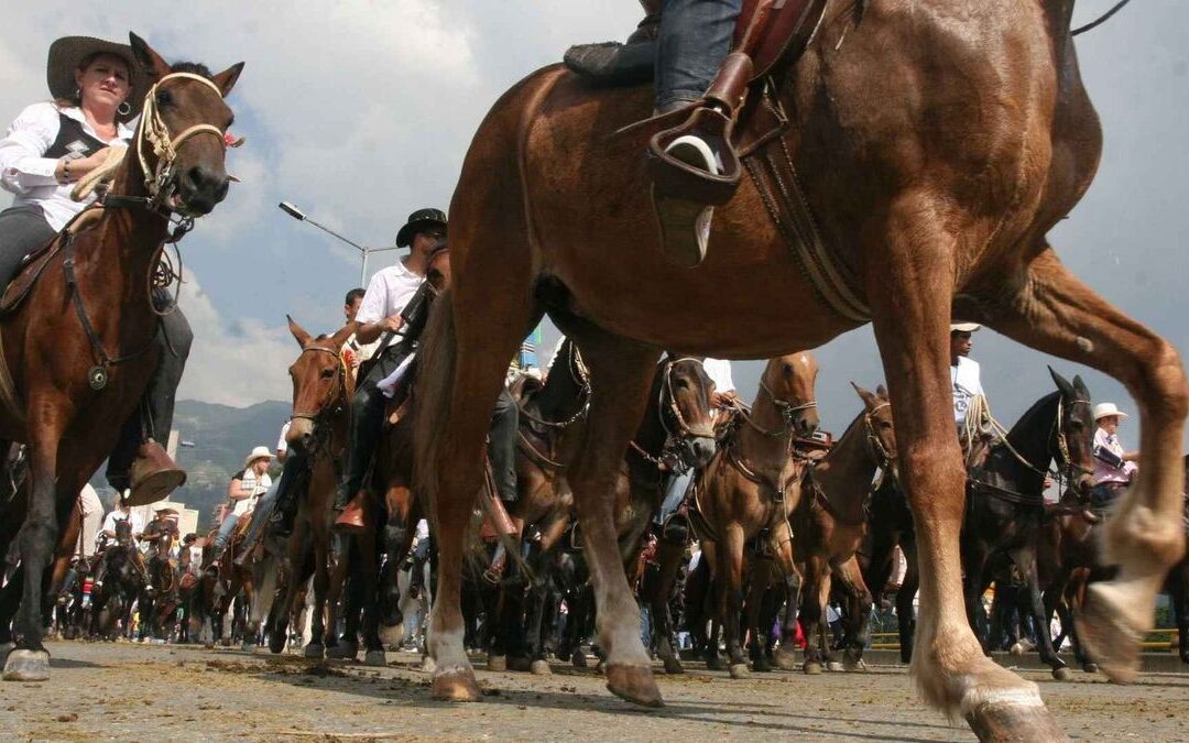 «Prohibir es la salida fácil»: ¿Qué futuro les espera a las cabalgatas en Colombia?