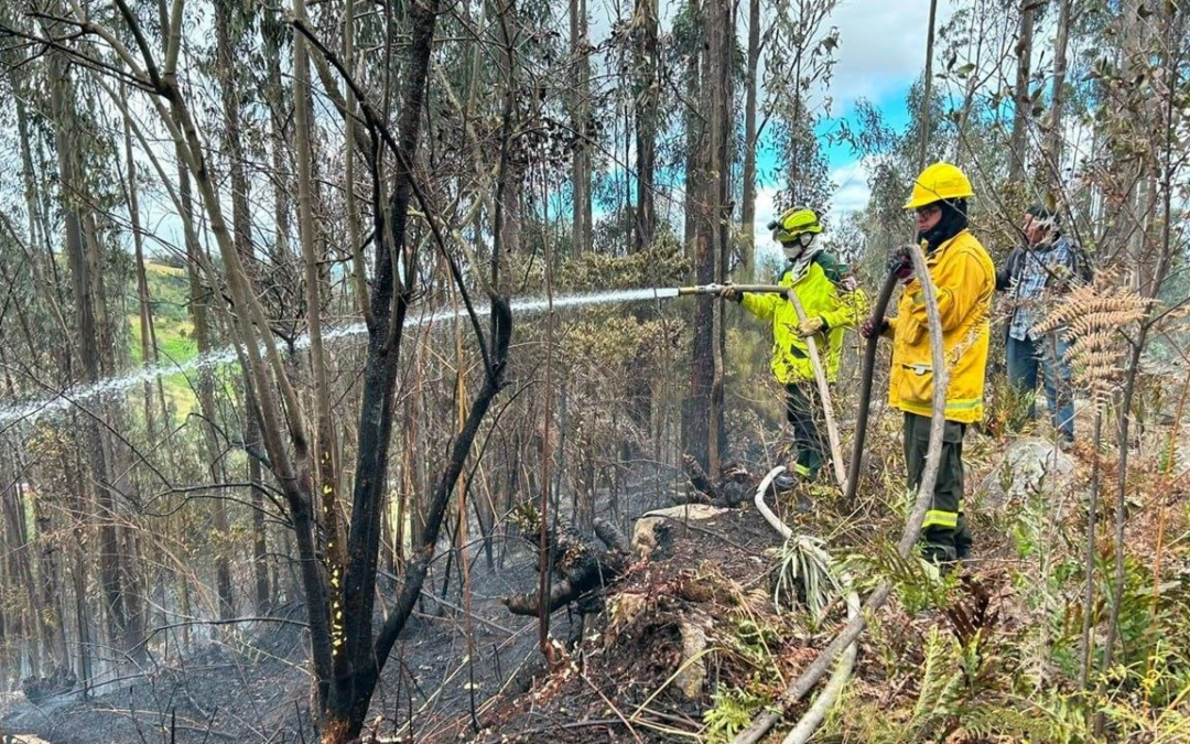 Quema forestal en Duitama prendió nuevamente las alarmas