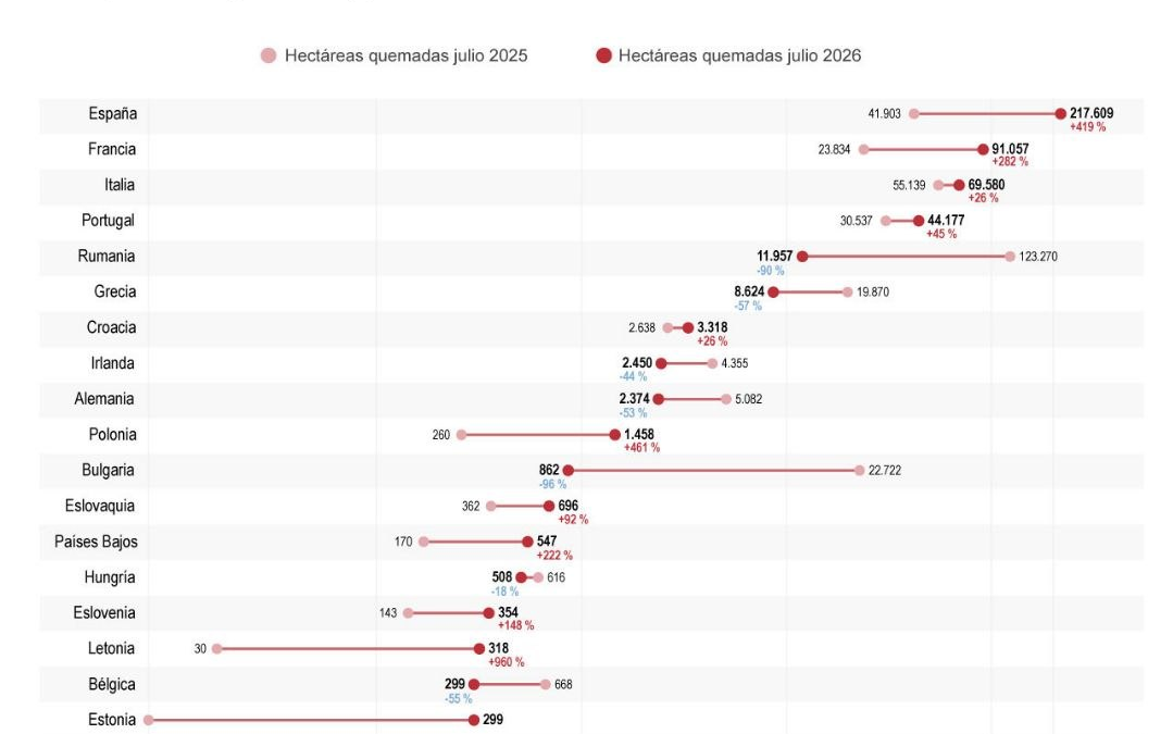 [Infografía] Los incendios arrasan un 32 % más de superficie forestal en la UE que hace un año