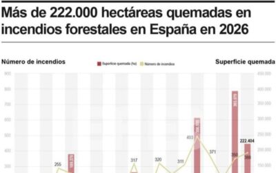 [Infografía] La superficie quemada en España supera las 222.000 hectáreas