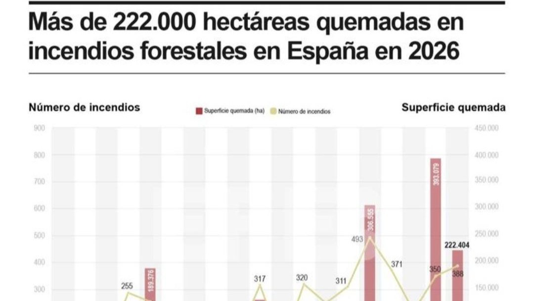 [Infografía] La superficie quemada en España supera las 222.000 hectáreas