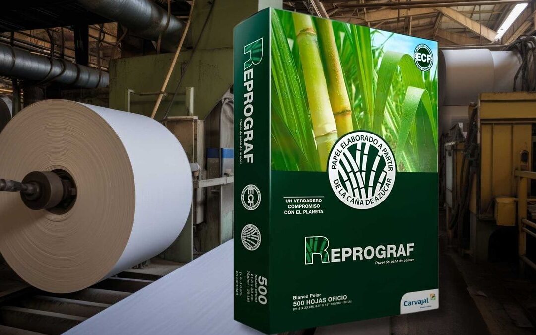 Propal, empresa que fábrica famosa resma de papel Reprograf entra en liquidación: su presidente explica las razones